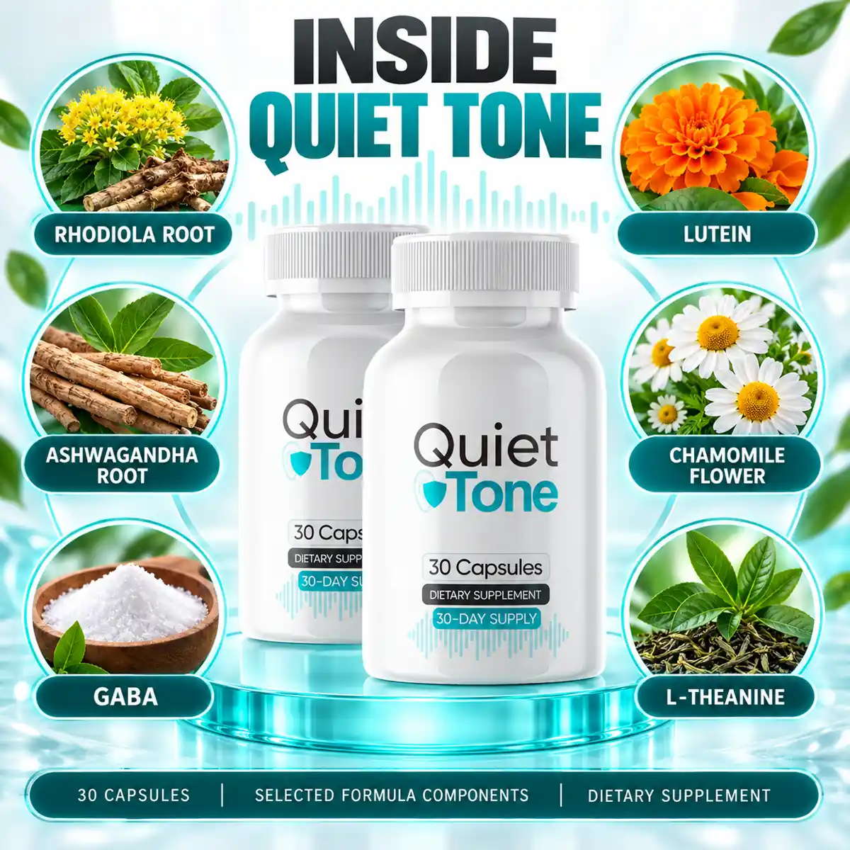 The seller&rsquo;s Inside Quiet Tone graphic naming six of the formula&rsquo;s components